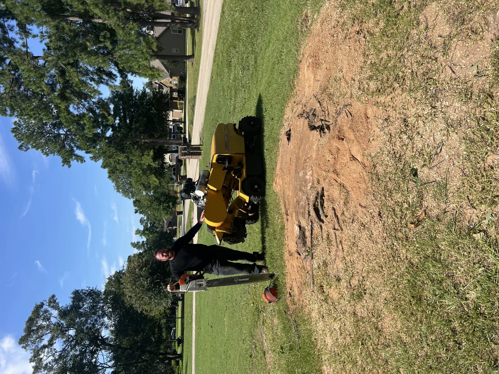 Professional tree service in Houston, TX by Branching Out