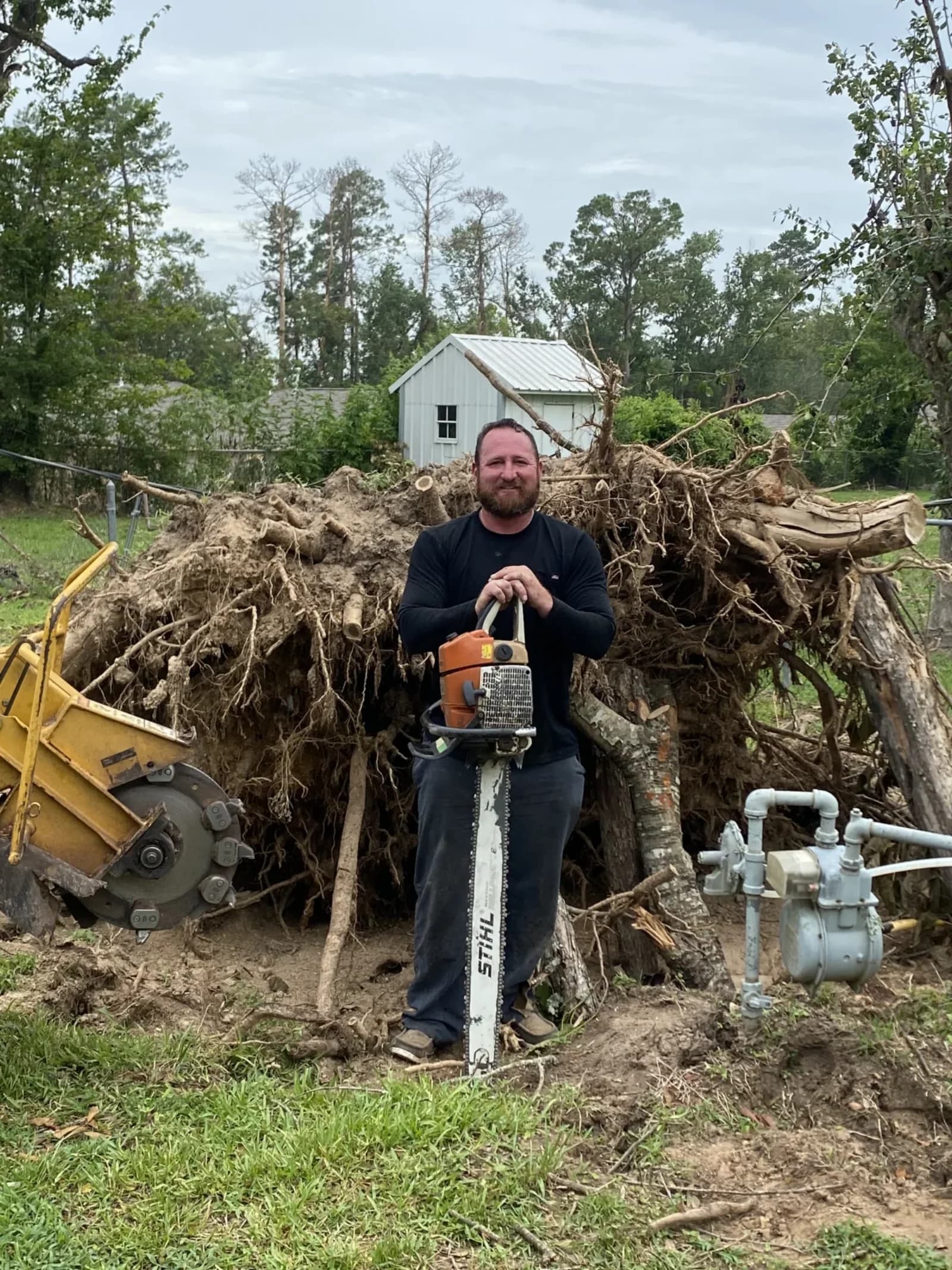 Professional tree service in Kingwood, TX by Branching Out